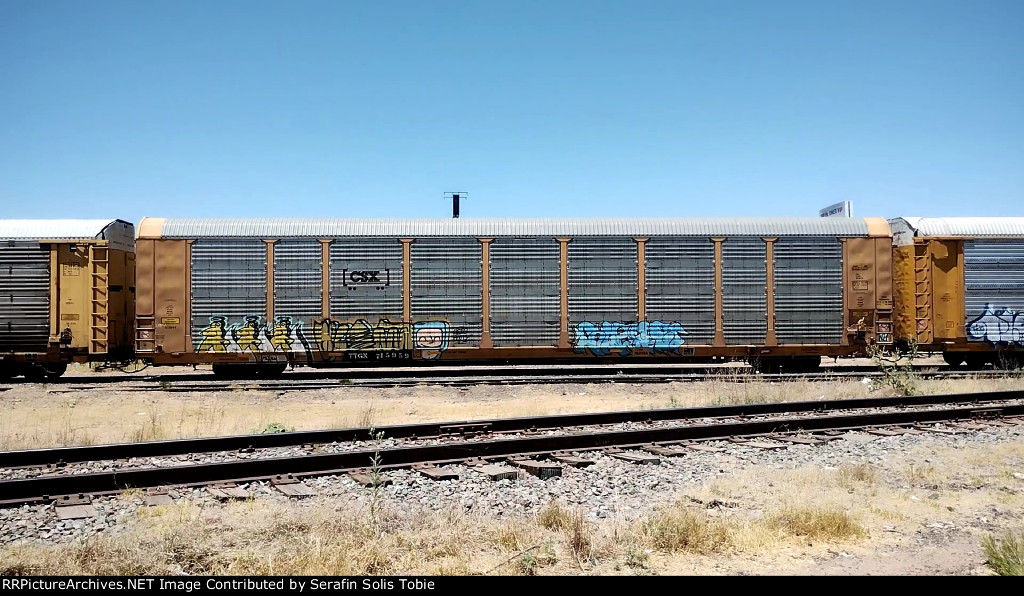 TTGX 715959 Rack CSX Con Grafiti 